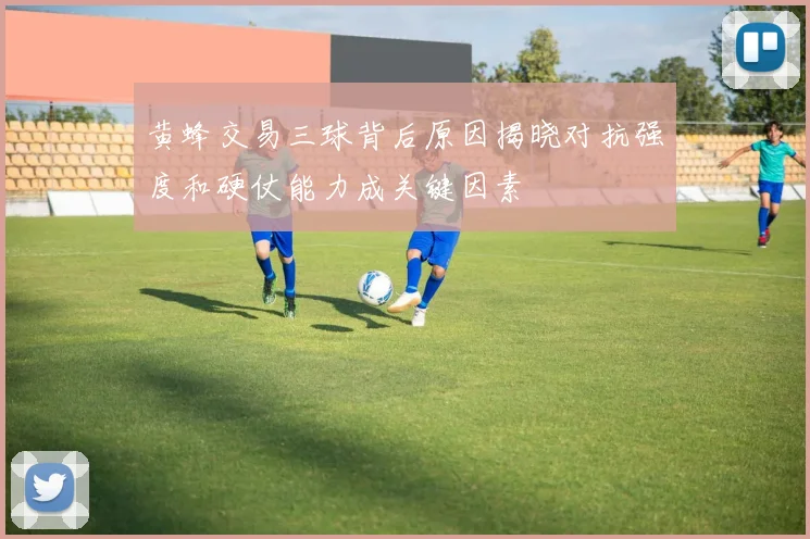 黄蜂交易三球背后原因揭晓对抗强度和硬仗能力成关键因素