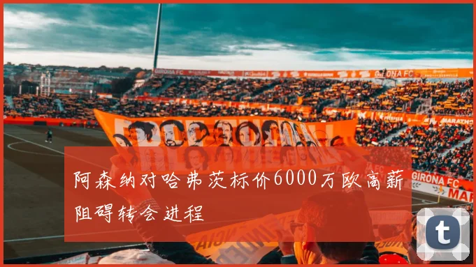 阿森纳对哈弗茨标价6000万欧高薪阻碍转会进程