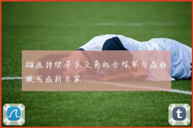 雄鹿持续寻求交易机会绿军与森林狼或成新东家